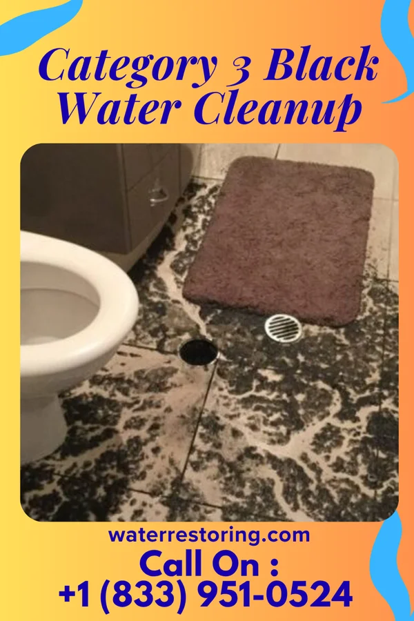 Category 3 Black Water Cleanup in Carney, OK