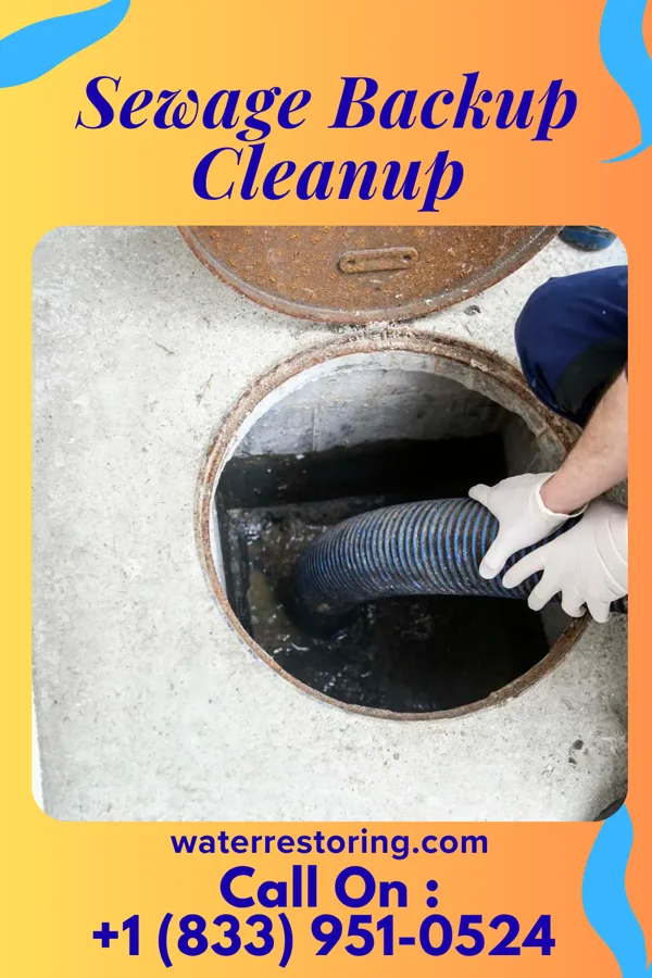 Sewage Backup Cleanup in Carney, OK